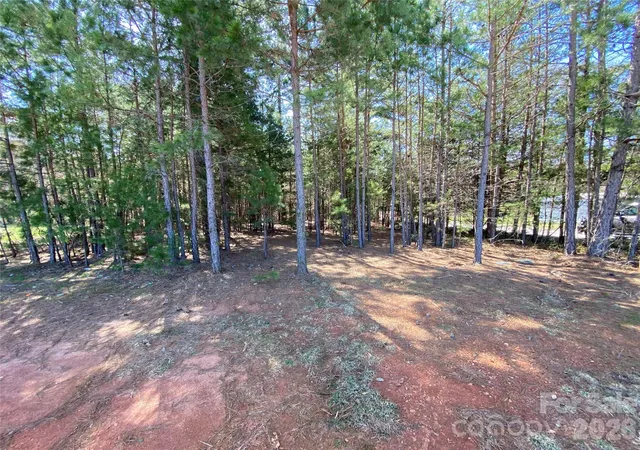 Photo 3 of Land for sale at Next To 1670 Buck Oak Rd, Lincolnton, NC 28092 | MLS# 4422364 | Listing updated on 2026-09-07