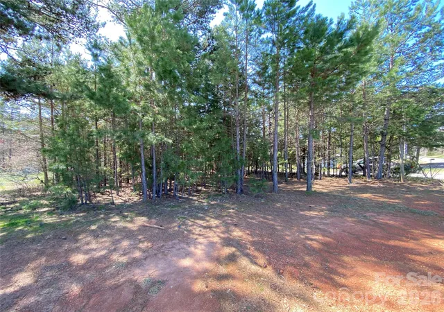 Photo 4 of Land for sale at Next To 1670 Buck Oak Rd, Lincolnton, NC 28092 | MLS# 4422364 | Listing updated on 2026-09-07