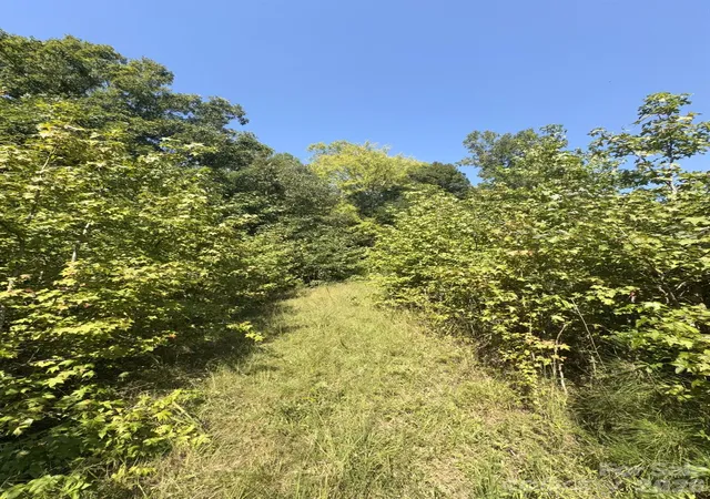 Photo 2 of Sale Pending at 0 Flt Swamp Rd, Denton, NC 27239 | MLS# 4422381 | Listing updated on 2026-09-14