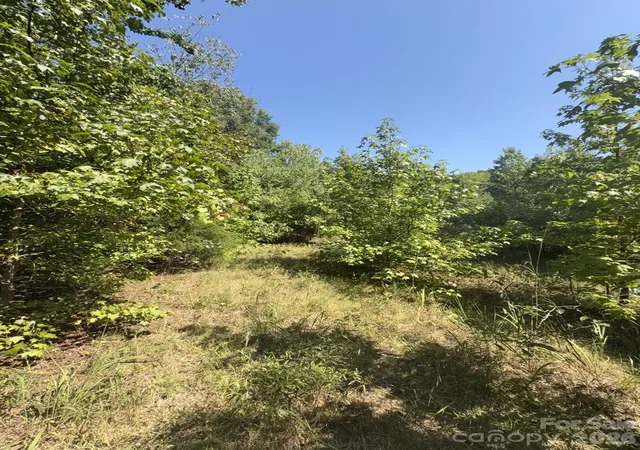 Photo 3 of Sale Pending at 0 Flt Swamp Rd, Denton, NC 27239 | MLS# 4422381 | Listing updated on 2026-09-14