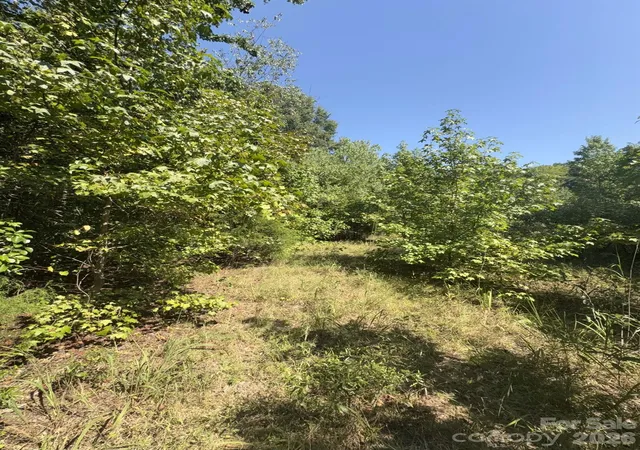 Photo 3 of Sale Pending at 0 Flt Swamp Rd, Denton, NC 27239 | MLS# 4422381 | Listing updated on 2026-09-14