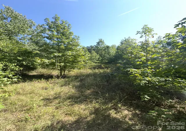 Photo 4 of Sale Pending at 0 Flt Swamp Rd, Denton, NC 27239 | MLS# 4422381 | Listing updated on 2026-09-14