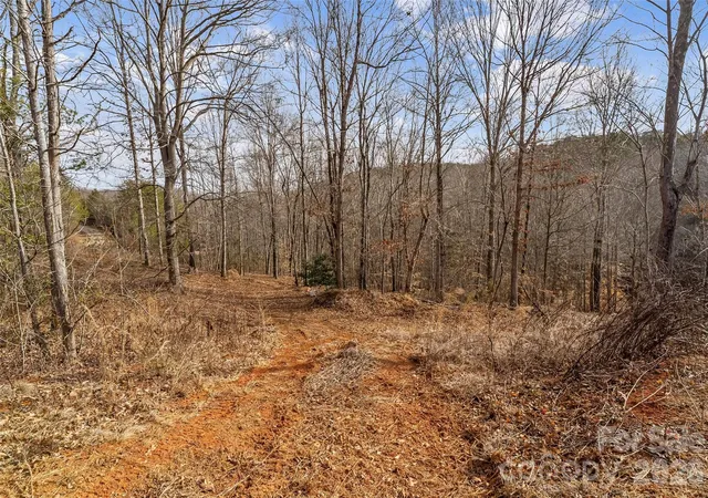Photo 4 of Land for sale at 173 & 207 Deer Crk Trl, Statesville, NC 28677 | MLS# 4422410 | Listing updated on 2026-10-05