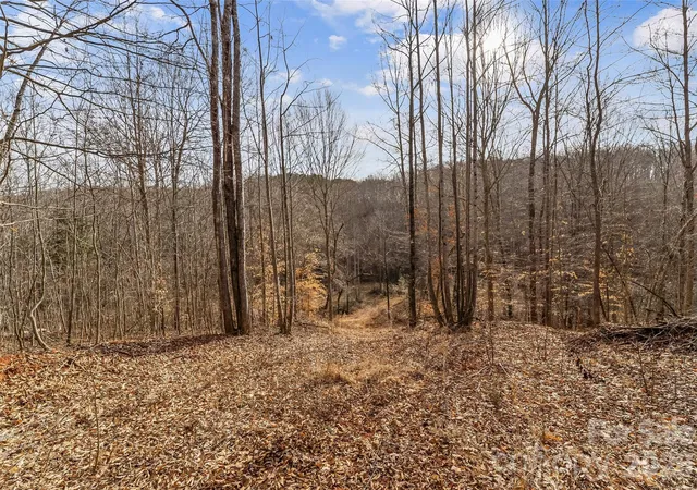 Photo 3 of Land for sale at 173 & 207 Deer Crk Trl, Statesville, NC 28677 | MLS# 4422410 | Listing updated on 2026-10-05
