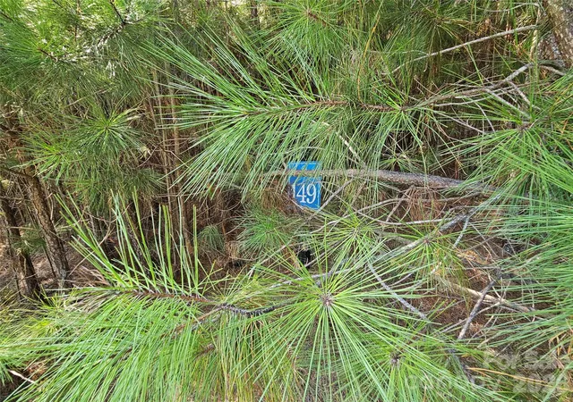 Photo 2 of Land for sale at Tbd Coveside Dr #149, Granite Falls, NC 28630 | MLS# 4422747 | Listing updated on 2026-09-17