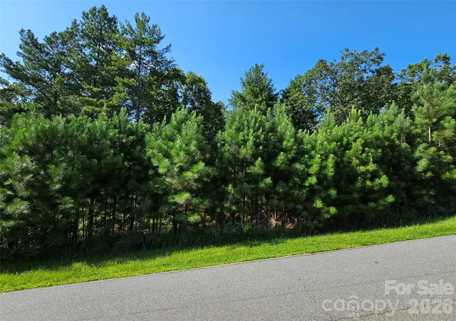 Photo 3 of Land for sale at Tbd Coveside Dr #149, Granite Falls, NC 28630 | MLS# 4422747 | Listing updated on 2026-09-17