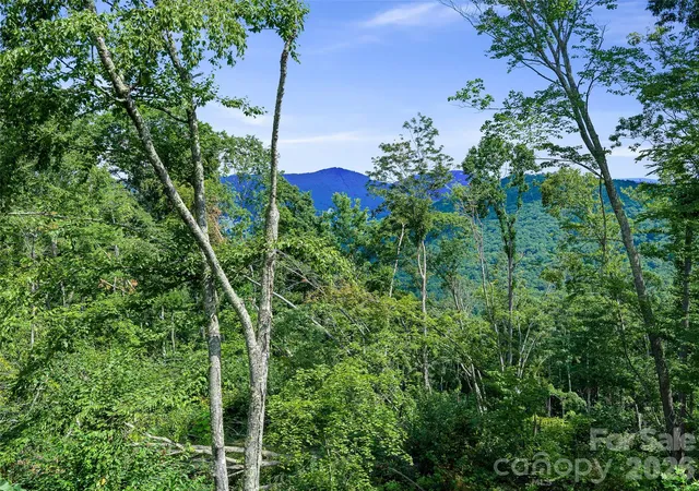 Photo 4 of Land for sale at 000 Winterberry Rd #25, Burnsville, NC 28714 | MLS# 4422784 | Listing updated on 2026-09-23