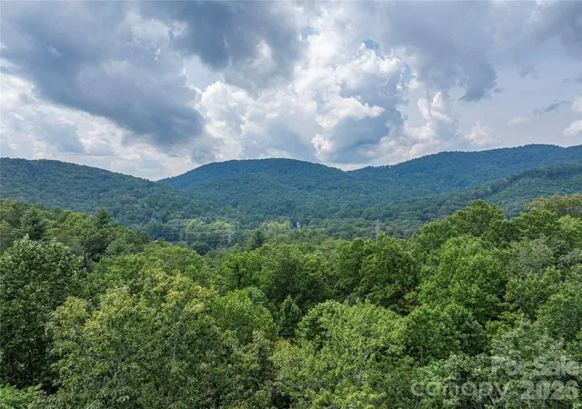 Photo 3 of Single family home for sale at 116 Ivy Rd, Mills River, NC 28759 | MLS# 4422954 | Listing updated on 2026-09-17