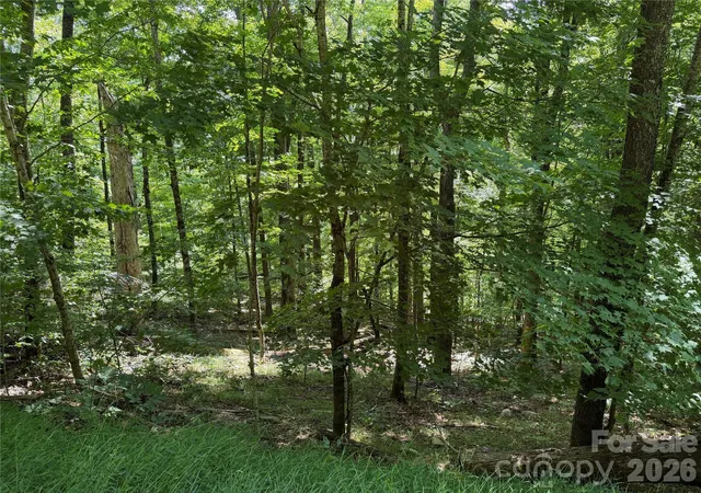Land for sale at 00 Chestnut Village Ln, Mars Hill, NC 28754 | MLS# 4422958