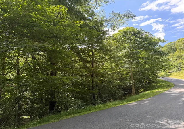 Photo 2 of Land for sale at 00 Chestnut Village Ln, Mars Hill, NC 28754 | MLS# 4422958 | Listing updated on 2026-09-14
