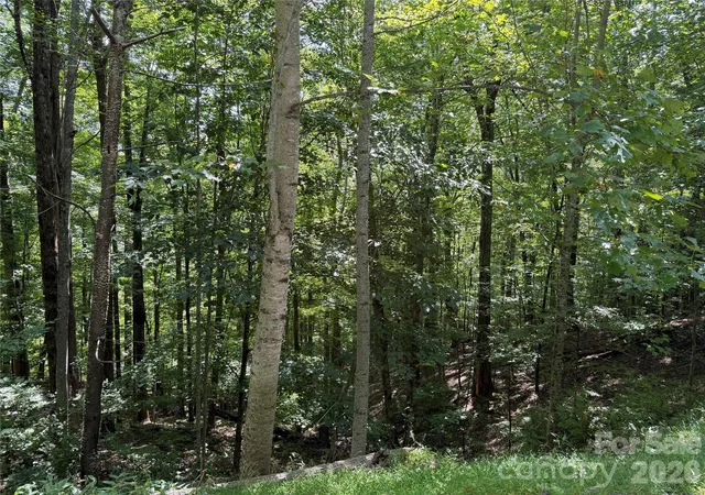 Photo 3 of Land for sale at 00 Chestnut Village Ln, Mars Hill, NC 28754 | MLS# 4422958 | Listing updated on 2026-09-14