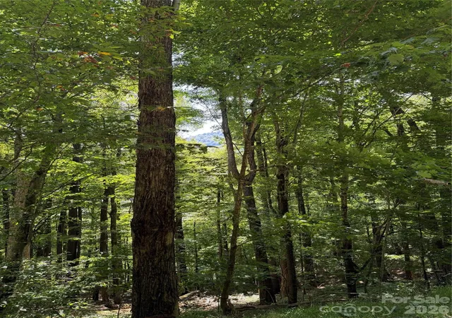 Photo 3 of Land for sale at 00 Chestnut Village Ln, Mars Hill, NC 28754 | MLS# 4422958 | Listing updated on 2026-09-14