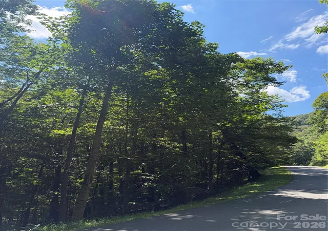 Photo 4 of Land for sale at 00 Chestnut Village Ln, Mars Hill, NC 28754 | MLS# 4422958 | Listing updated on 2026-09-14