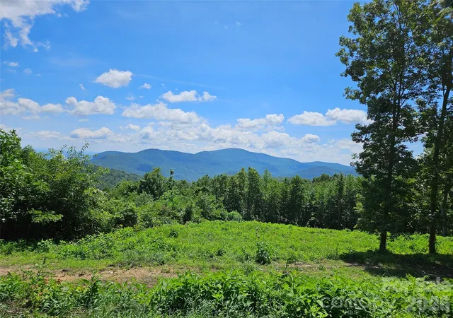 Photo 2 of Land for sale at 1227 Grand Oaks Dr #42, Hendersonville, NC 28792 | MLS# 4423781 | Listing updated on 2026-09-15