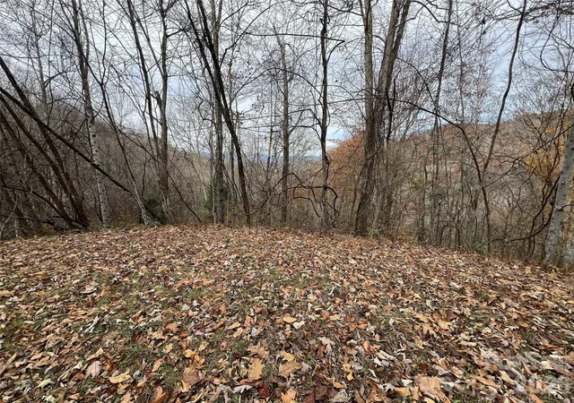 Photo 3 of Land for sale at Lot 7 Deer Ridge Rd, Bryson City, NC 28713 | MLS# 4423882 | Listing updated on 2026-10-11