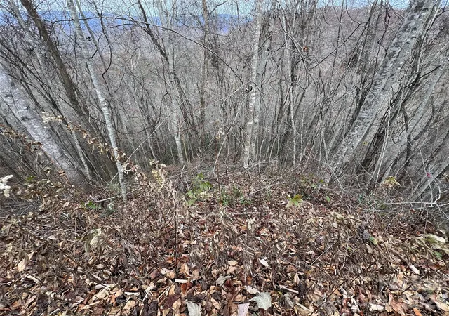 Photo 3 of Land for sale at Lot 7 Deer Ridge Rd, Bryson City, NC 28713 | MLS# 4423882 | Listing updated on 2026-10-11