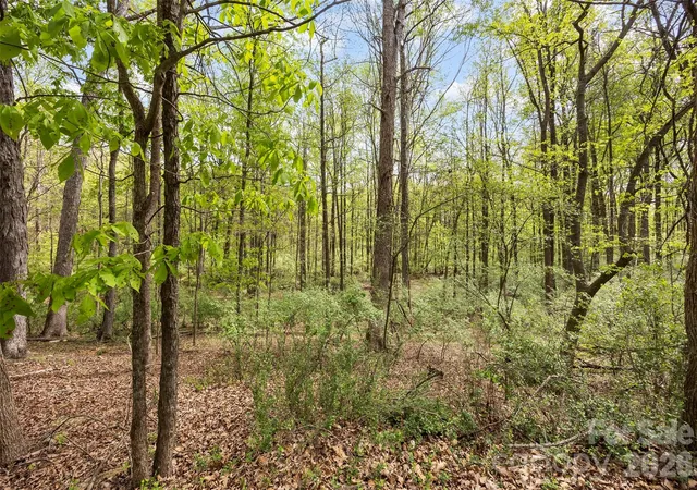 Photo 3 of Land for sale at 10601 Wildlife Rd, Charlotte, NC 28278 | MLS# 4424107 | Listing updated on 2026-09-12