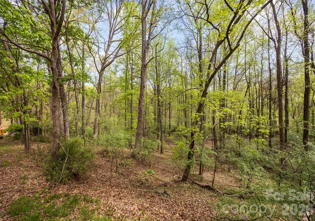 Photo 4 of Land for sale at 10601 Wildlife Rd, Charlotte, NC 28278 | MLS# 4424107 | Listing updated on 2026-09-12