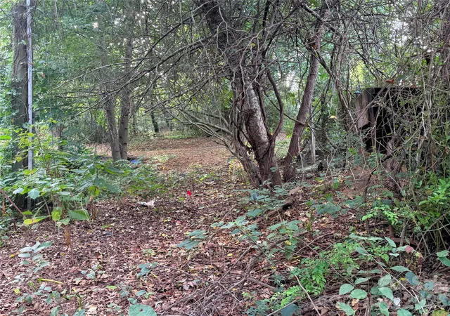 Photo 2 of Land for sale at 173 & 175 Dix Crk Chapel Rd, Asheville, NC 28806 | MLS# 4424210 | Listing updated on 2026-10-01