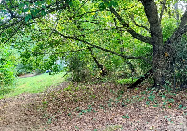 Photo 4 of Land for sale at 173 & 175 Dix Crk Chapel Rd, Asheville, NC 28806 | MLS# 4424210 | Listing updated on 2026-10-01