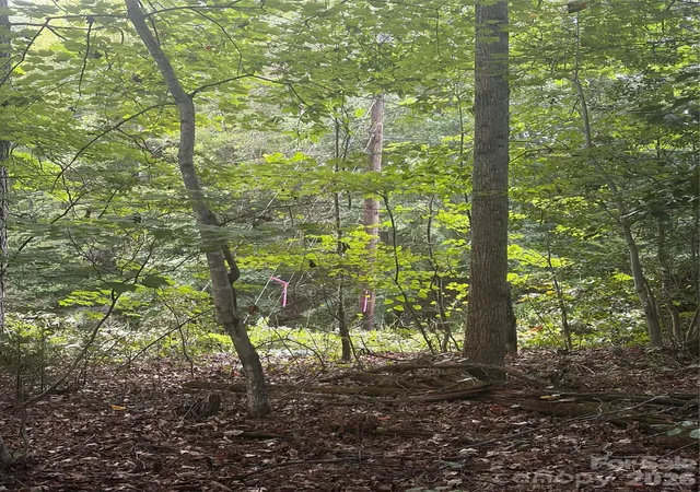 Photo 3 of Sale Pending at Lot 2 Edgewood Rd, Wilkesboro, NC 28697 | MLS# 4424228 | Listing updated on 2026-10-05