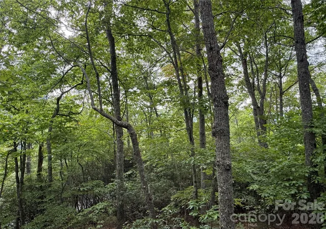 Photo 2 of Land for sale at 3315 Preserve Rd #120, Sylva, NC 28779 | MLS# 4424255 | Listing updated on 2026-10-15