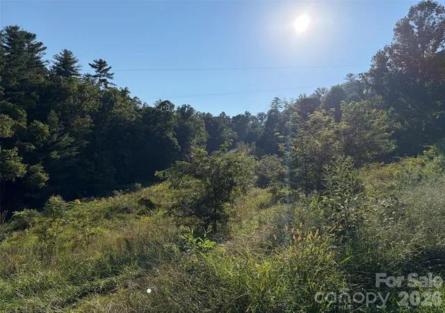 Photo 3 of Land for sale at 4401 Meadows Town Rd, Marshall, NC 28753 | MLS# 4424385 | Listing updated on 2026-09-21
