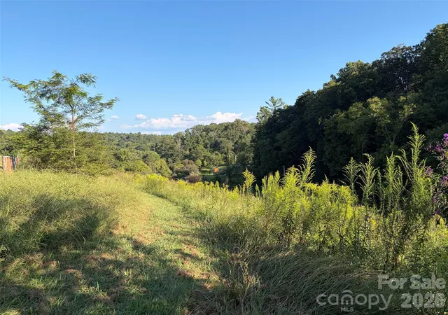 Photo 4 of Land for sale at 4401 Meadows Town Rd, Marshall, NC 28753 | MLS# 4424385 | Listing updated on 2026-09-21