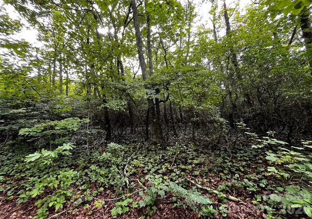 Photo 2 of Land for sale at 462 Autumn Forest Dr, Hendersonville, NC 28792 | MLS# 4424478 | Listing updated on 2026-09-16
