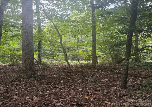 Photo 2 of Land for sale at Lot 5 Edgewood Rd, Wilkesboro, NC 28697 | MLS# 4424521 | Listing updated on 2026-09-23