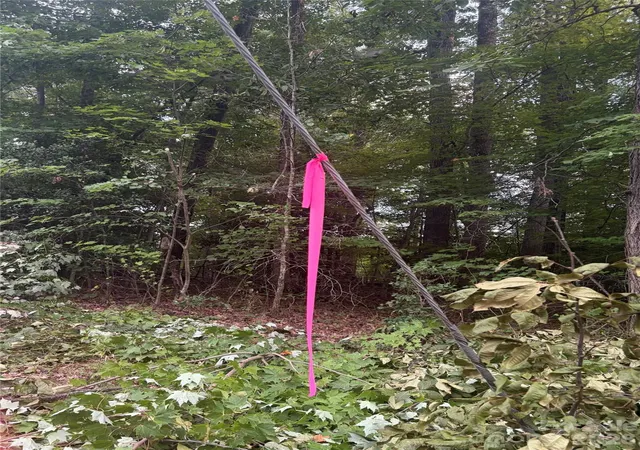 Photo 4 of Land for sale at Lot 5 Edgewood Rd, Wilkesboro, NC 28697 | MLS# 4424521 | Listing updated on 2026-09-23