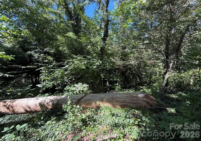 Photo 3 of Land for sale at 99999 Roebling Cir #40, Asheville, NC 28803 | MLS# 4424704 | Listing updated on 2026-10-02