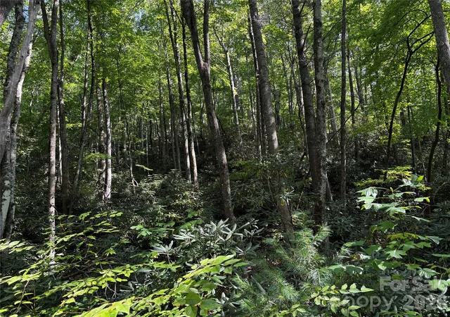 Photo 2 of Land for sale at 00 Burnette Reeves Rd, Leicester, NC 28748 | MLS# 4424797 | Listing updated on 2026-09-21