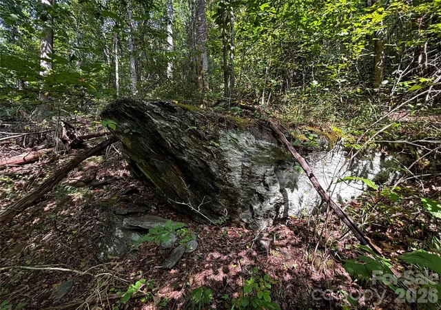 Photo 3 of Land for sale at 00 Burnette Reeves Rd, Leicester, NC 28748 | MLS# 4424797 | Listing updated on 2026-09-21