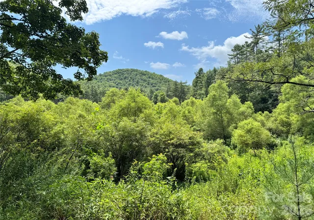 Photo 1 of Land for sale at 361 Rooster Cvs, Brevard, NC 28712 | MLS# 4424966 | Listing updated on 2026-10-06
