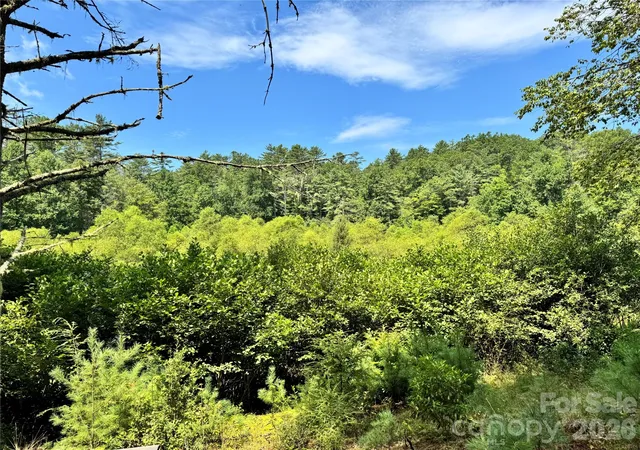 Photo 2 of Land for sale at 361 Rooster Cvs, Brevard, NC 28712 | MLS# 4424966 | Listing updated on 2026-10-06