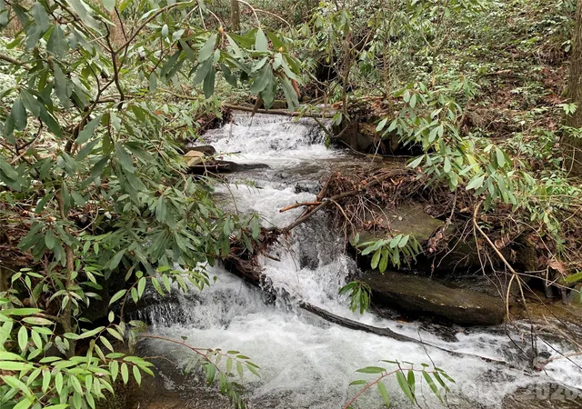 Photo 3 of Land for sale at 361 Rooster Cvs, Brevard, NC 28712 | MLS# 4424966 | Listing updated on 2026-10-06