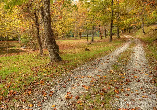 Photo 4 of Land for sale at 361 Rooster Cvs, Brevard, NC 28712 | MLS# 4424966 | Listing updated on 2026-10-06