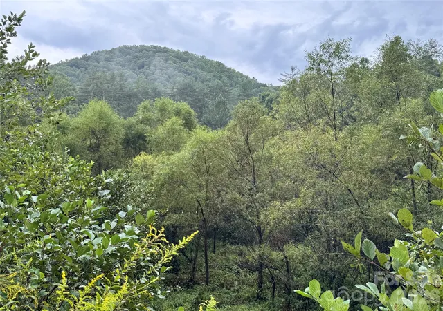Photo 3 of Land for sale at 361 Rooster Cvs, Brevard, NC 28712 | MLS# 4424966 | Listing updated on 2026-10-06