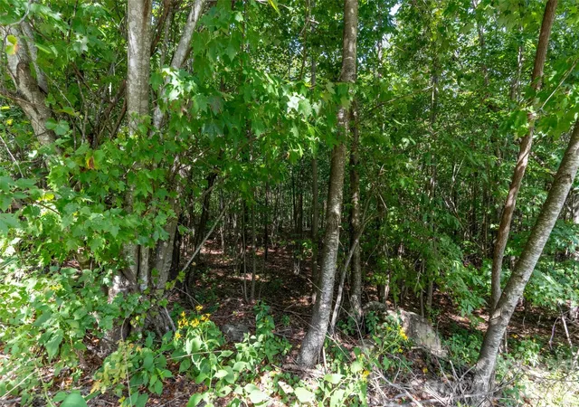 Photo 2 of Land for sale at 0 Deep Gap Farm Rd W #2040, Mill Spring, NC 28756 | MLS# 4425022 | Listing updated on 2026-09-26