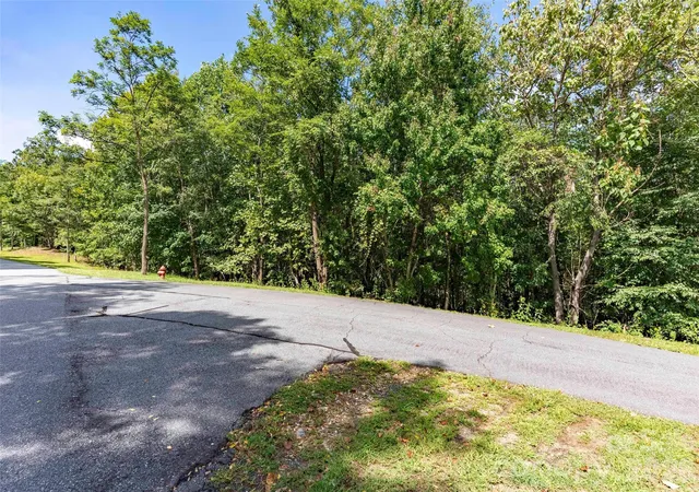 Photo 3 of Land for sale at 0 Deep Gap Farm Rd W #2040, Mill Spring, NC 28756 | MLS# 4425022 | Listing updated on 2026-09-26