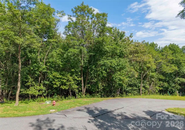 Photo 3 of Land for sale at 0 Deep Gap Farm Rd W #2040, Mill Spring, NC 28756 | MLS# 4425022 | Listing updated on 2026-09-26