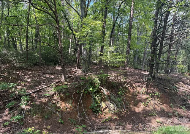 Photo 3 of Land for sale at Lot 35 Roundabout Rd, Lake Lure, NC 28746 | MLS# 4425086 | Listing updated on 2026-09-22