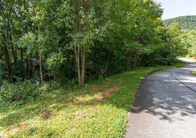 Photo 3 of Land for sale at 0 Deep Gap Farm Rd W #2061, Mill Spring, NC 28756 | MLS# 4425115 | Listing updated on 2026-09-26