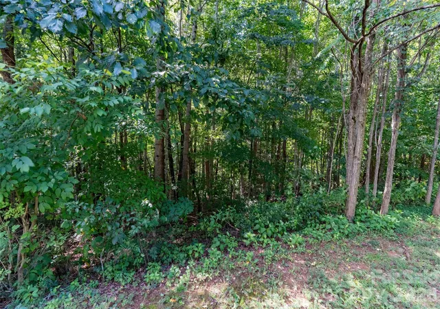 Photo 3 of Land for sale at 0 Deep Gap Farm Rd W #2061, Mill Spring, NC 28756 | MLS# 4425115 | Listing updated on 2026-09-26