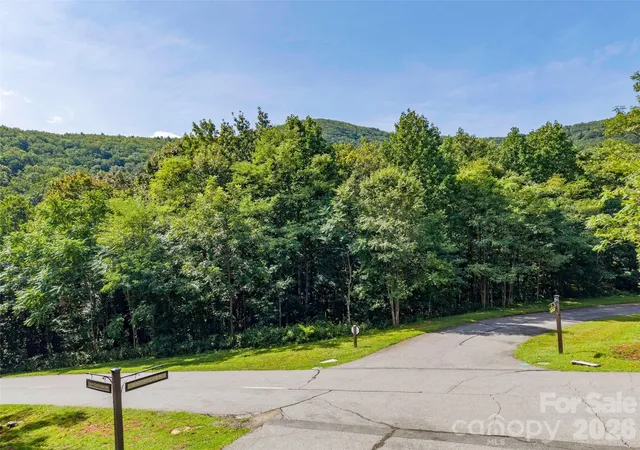 Photo 4 of Land for sale at 0 Deep Gap Farm Rd W #2061, Mill Spring, NC 28756 | MLS# 4425115 | Listing updated on 2026-09-26