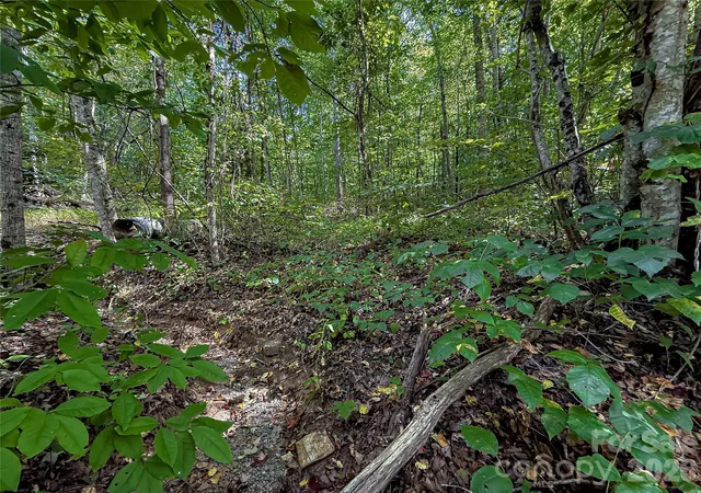 Photo 2 of Land for sale at 99999 High Top Mountain Rd #1, Leicester, NC 28748 | MLS# 4425122 | Listing updated on 2026-09-16