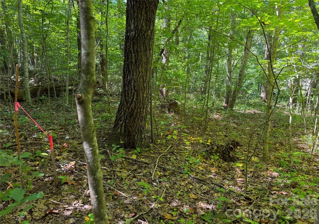 Photo 3 of Land for sale at 99999 High Top Mountain Rd #1, Leicester, NC 28748 | MLS# 4425122 | Listing updated on 2026-09-16