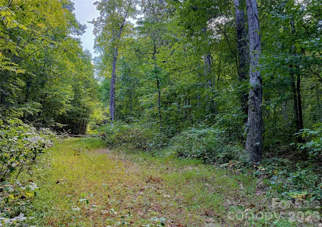 Land for sale at 99999 High Top Mountain Rd #2, Leicester, NC 28748 | MLS# 4425130