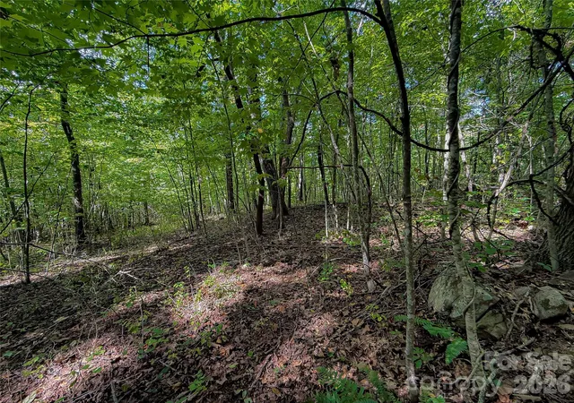 Photo 3 of Land for sale at 99999 High Top Mountain Rd #2, Leicester, NC 28748 | MLS# 4425130 | Listing updated on 2026-09-16